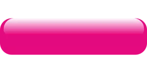 Hire Us - html css to wordpress For A Great Price