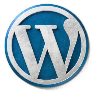 Order A Developer To html to wordpress conversion service service For A Great Price